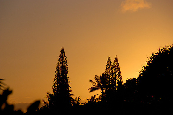 SUNRISE FROM ALII KAI
