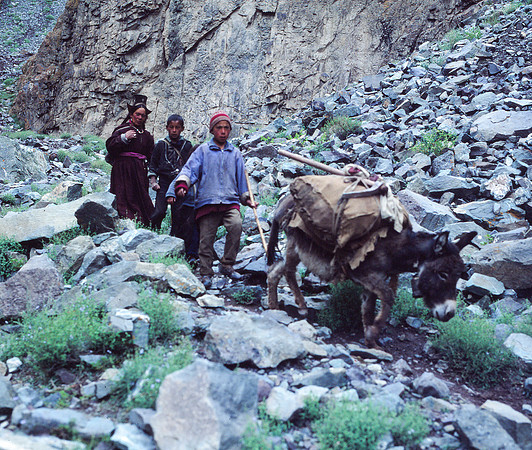 Encounter on the Trail