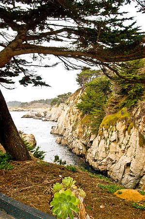 Carmel Highlands_3