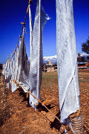 Prayer Flags, Daramsala