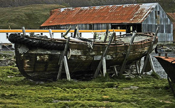SOUTH GEORGIA ISLAND -2004